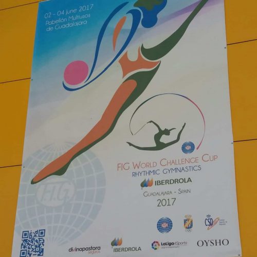 Climatización del campeonato del mundo de gimnasia rítmica en Guadalajara